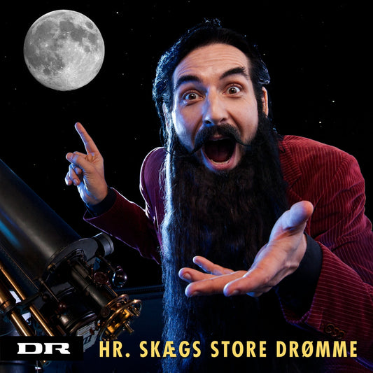 Hr. Skæg - Hr. Skægs store drømme